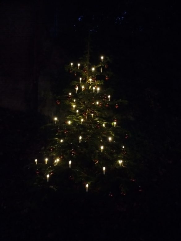 Im Advent 2022 - Weihnachtsbaum