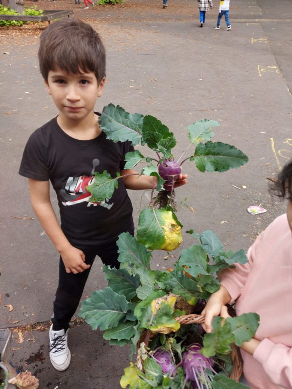 Obst- und Gemüseernte im Schulgarten