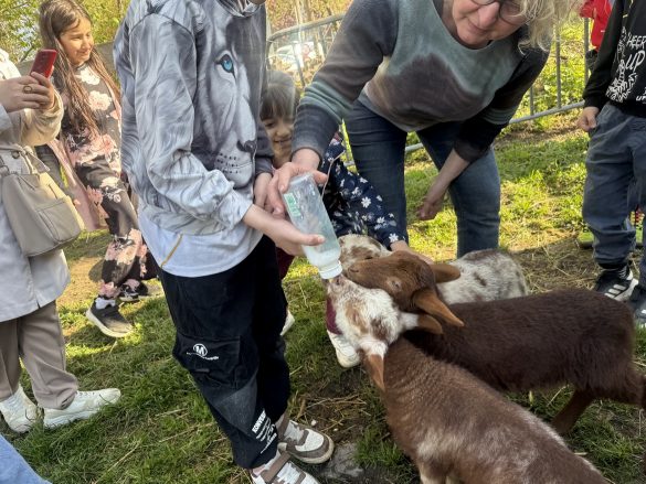 Ausflug zum Hof Kotthausen – Die Känguruklasse unterwegs