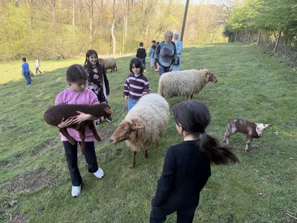 Ausflug zum Hof Kotthausen – Die Känguruklasse unterwegs
