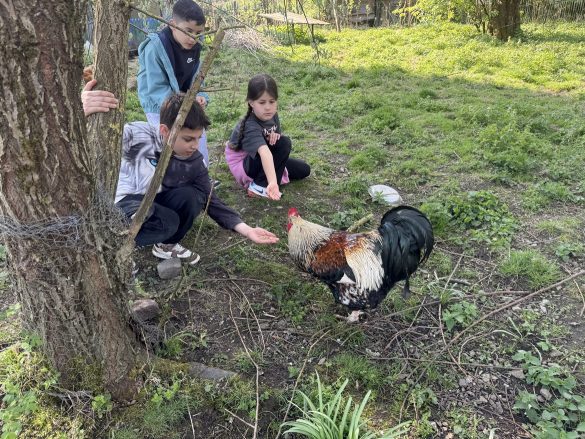 Ausflug zum Hof Kotthausen – Die Känguruklasse unterwegs