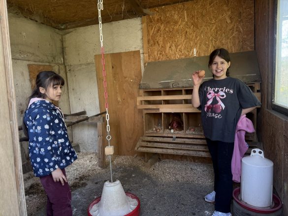 Ausflug zum Hof Kotthausen – Die Känguruklasse unterwegs