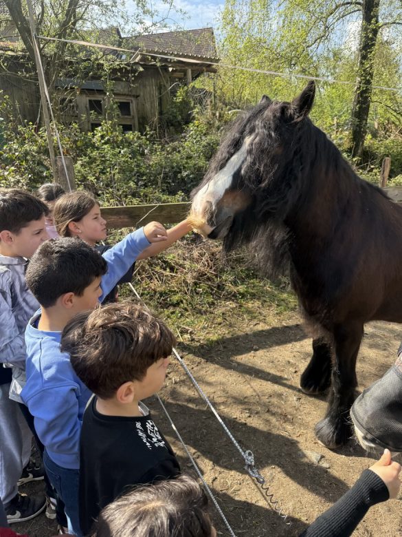 Ausflug zum Hof Kotthausen – Die Känguruklasse unterwegs