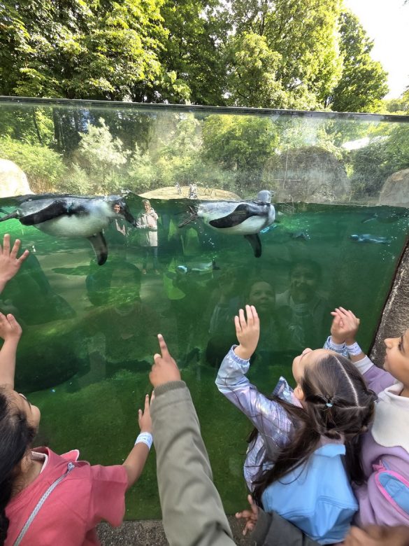 2026-zoobesuch-02 Ausflug der ersten Klassen in den Zoo