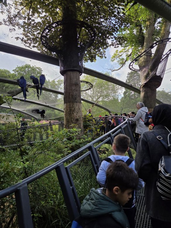 2026-zoobesuch-03 Ausflug der ersten Klassen in den Zoo