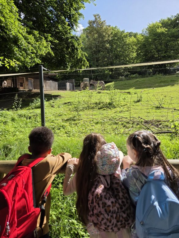 2026-zoobesuch-05 Ausflug der ersten Klassen in den Zoo