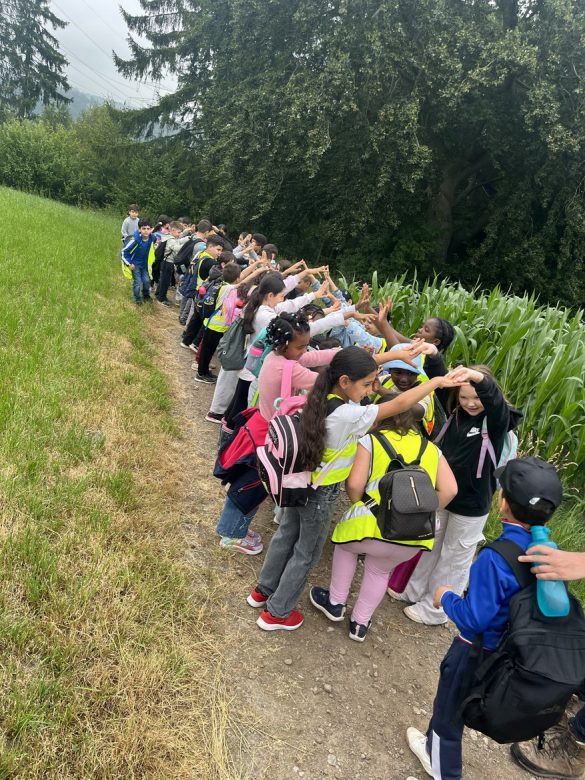 2026-beyenburger-stausee-01 Abenteuerliche Waldwanderung zum Beyenburger Stausee