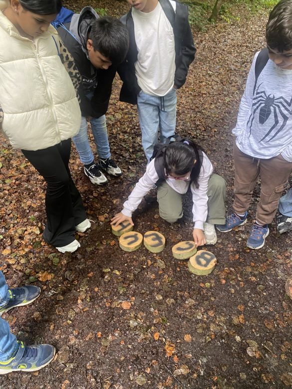 Die Klasse 4c bei den Waldjugendspielen