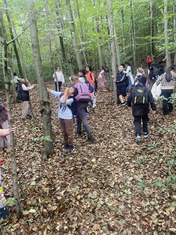 Die Klasse 4c bei den Waldjugendspielen